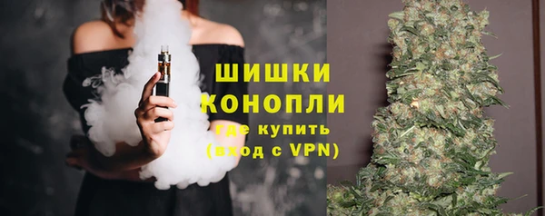 индика Братск