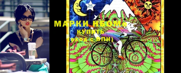 индика Братск