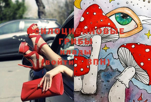 гашиш Заводоуковск